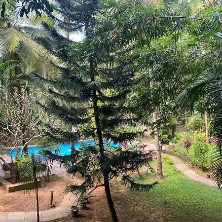 Tranquil Stay, Garden Estate - Palolem 1Bhk Flat Canacona Exterior foto